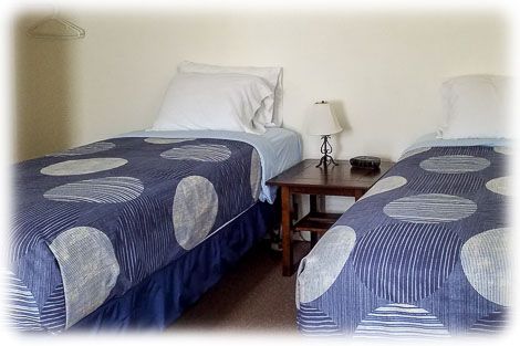 Upstairs lofted bedroom with twin beds